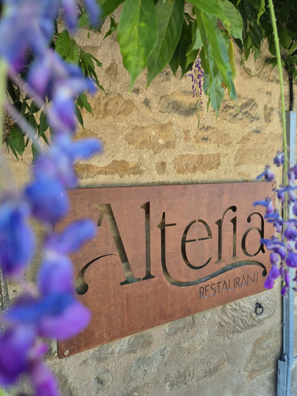 IMG_20250711_114141 (1) (1)